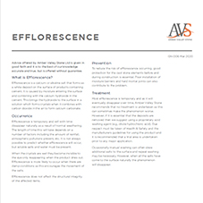 Efflorescence & How to treat it