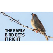 The early bird gets its right [BLOG]