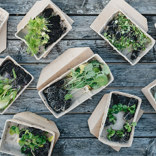 Know the Difference: Biodegradable, Compostable, and Recyclable Materials